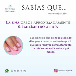 beneficios del manicure | SABIAS QUE | spa en guadalajara