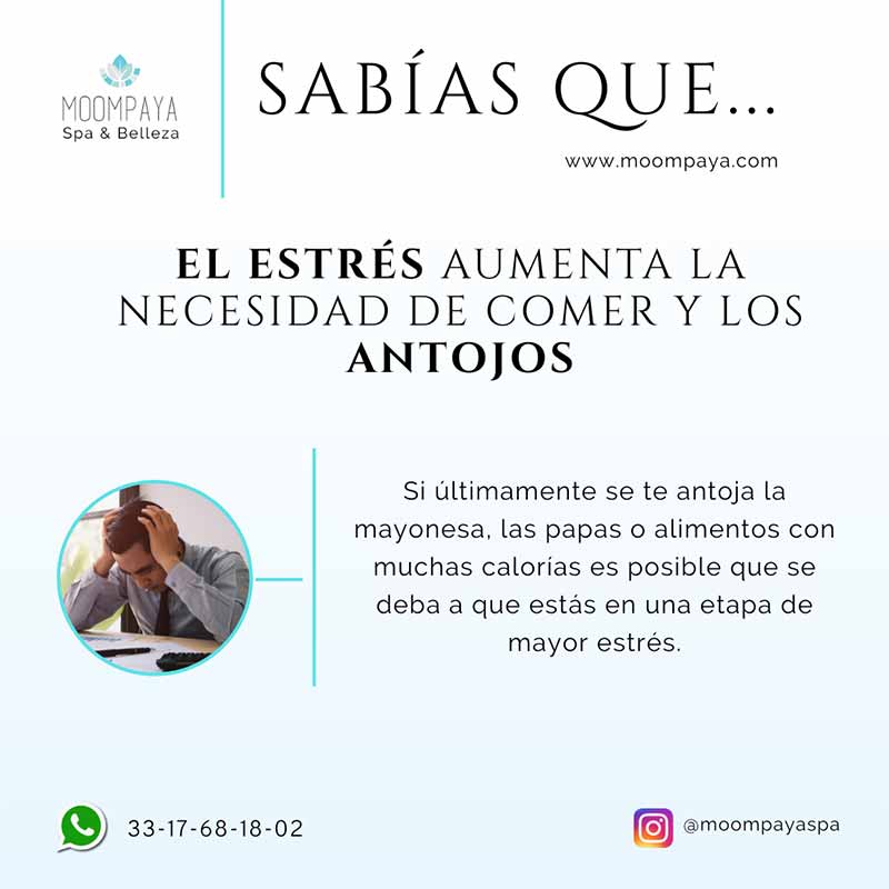 Cómo afecta el estrés al cuerpo | sabias que | spa mexico